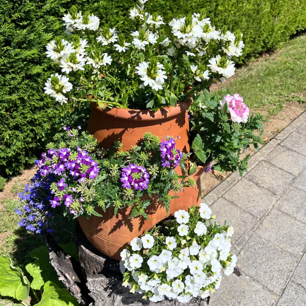 Pot à Fraisier