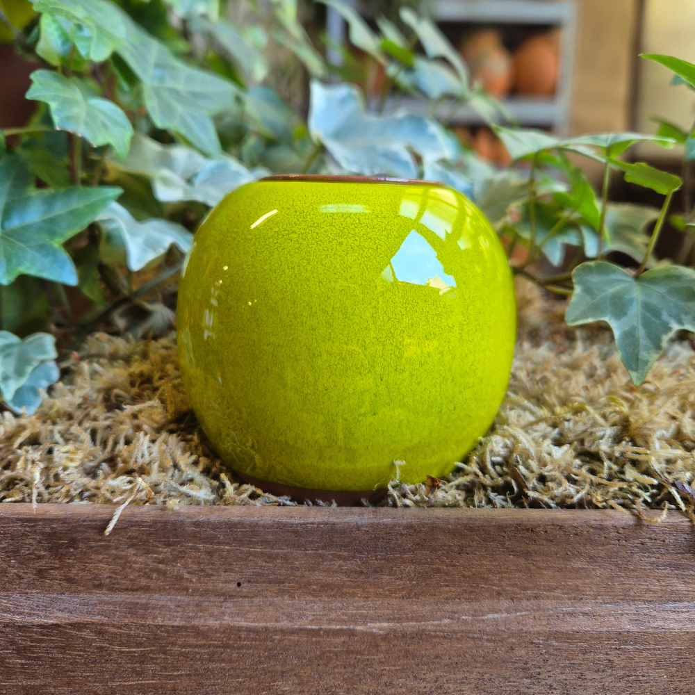 66.png