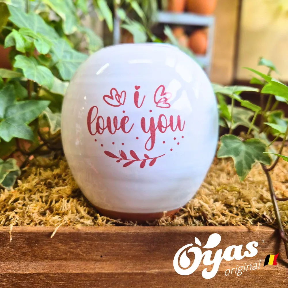Oyas® to plant - Small Decor