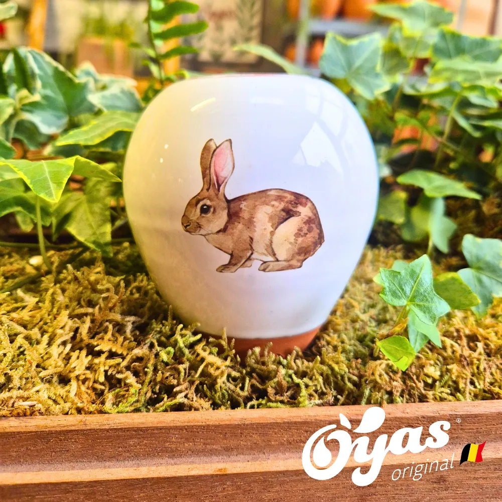 Oyas® à planter - Small Décorés
