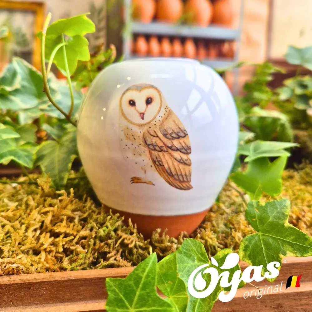 Oyas® à planter - Small Décorés