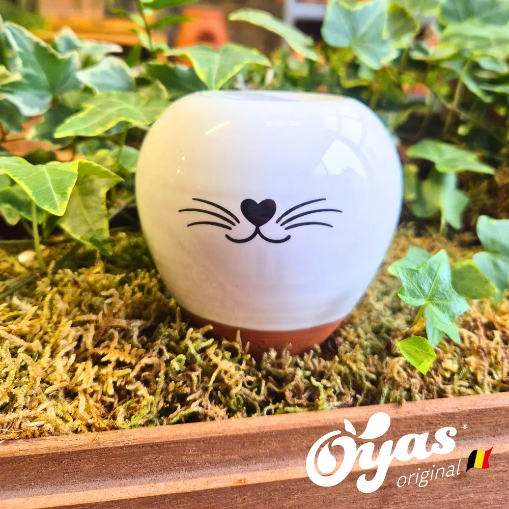 Oyas® to plant - Small Decor