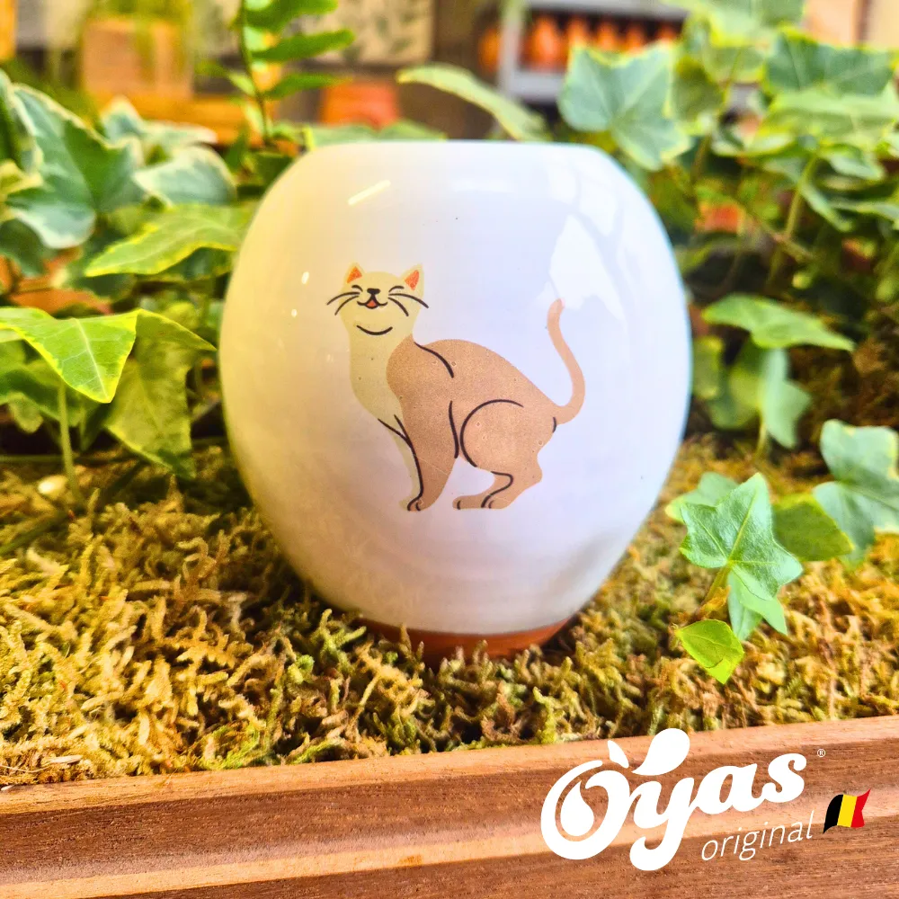 Oyas® à planter - Small Décorés