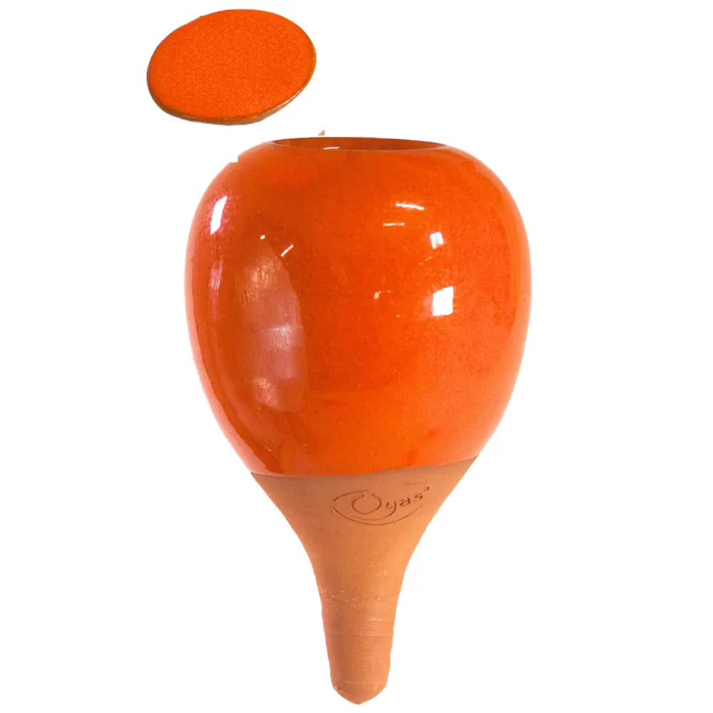 Oyas® om te planten - Kleine Kleuren