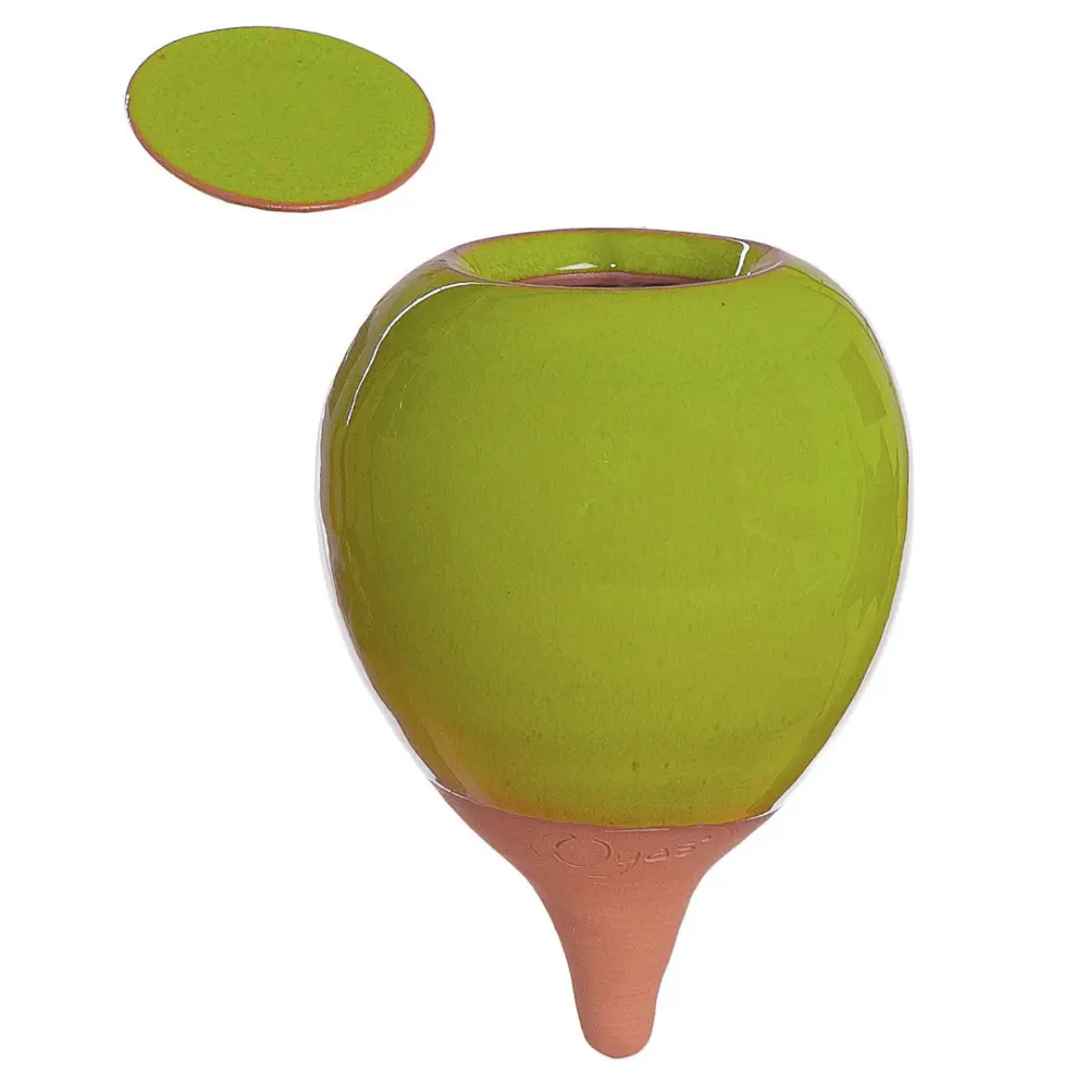 Oyas® to plant - Mini Colors