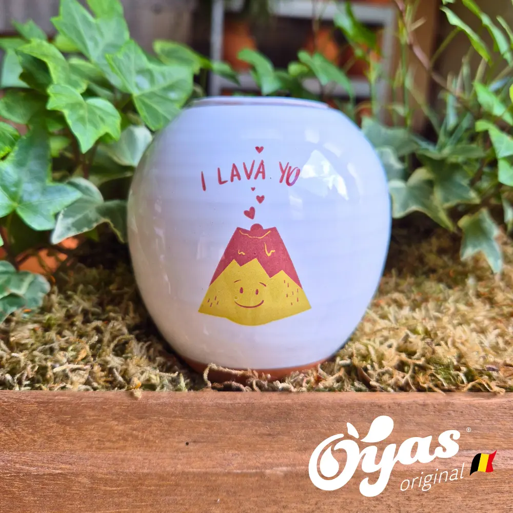 Oyas® à planter - Small Décorés
