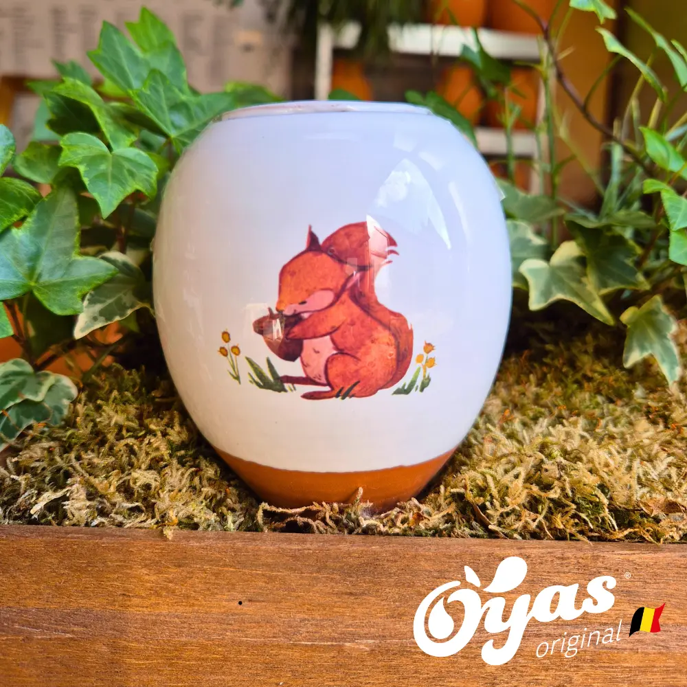 Oyas® to plant - Small Decor