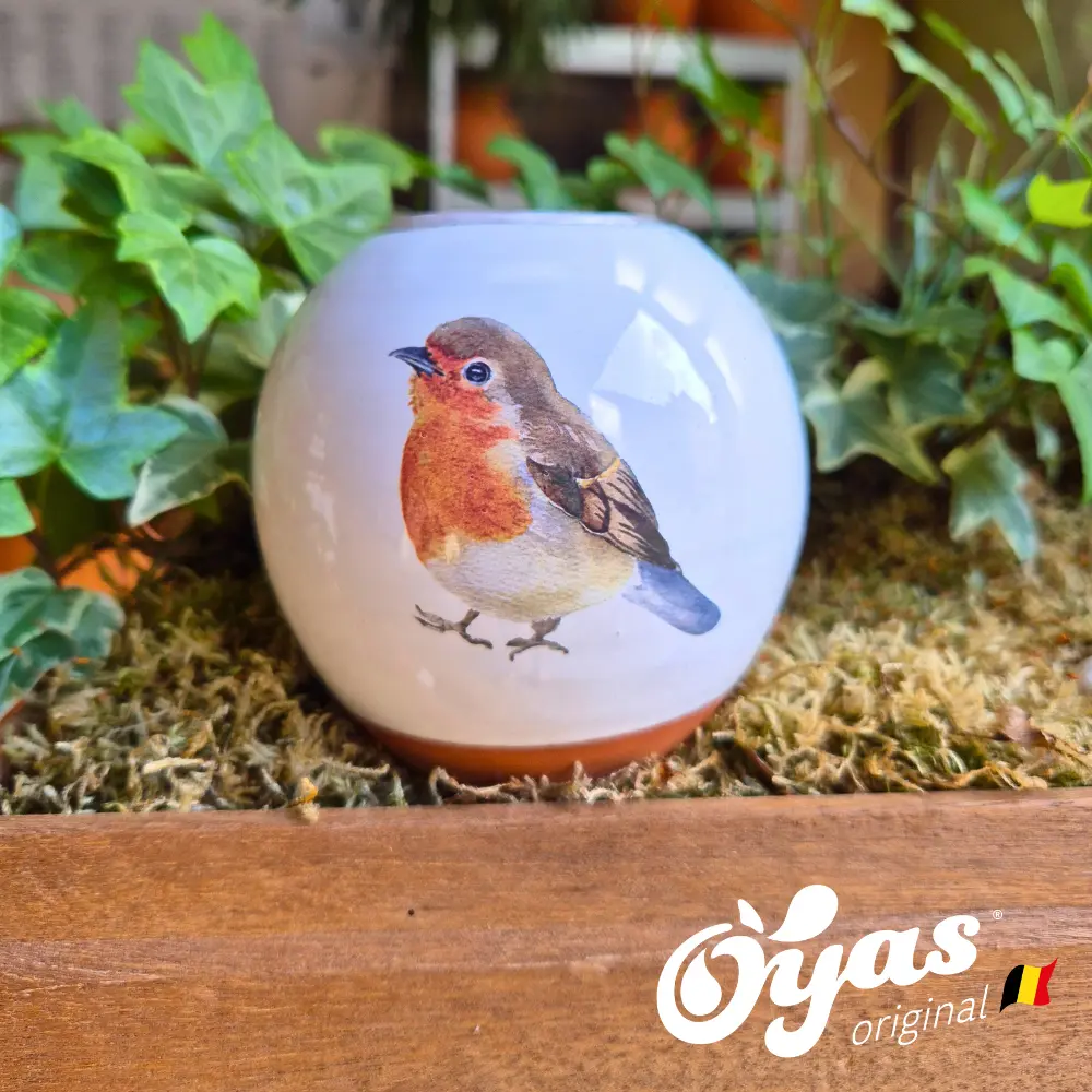 Oyas® to plant - Small Decor (Roodborstje)