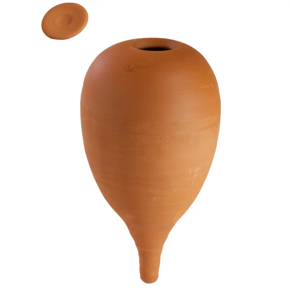 Oyas® à planter Medium